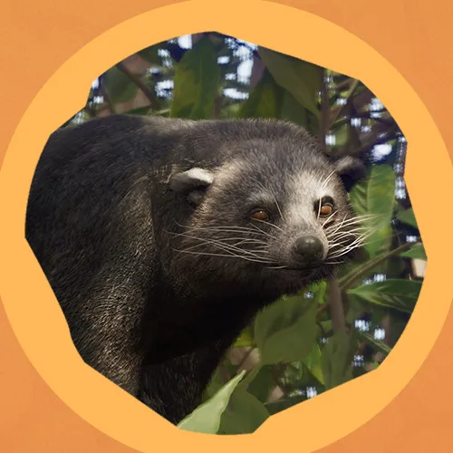 Binturong face and dark coat among forest foliage in Planet Zoo 2