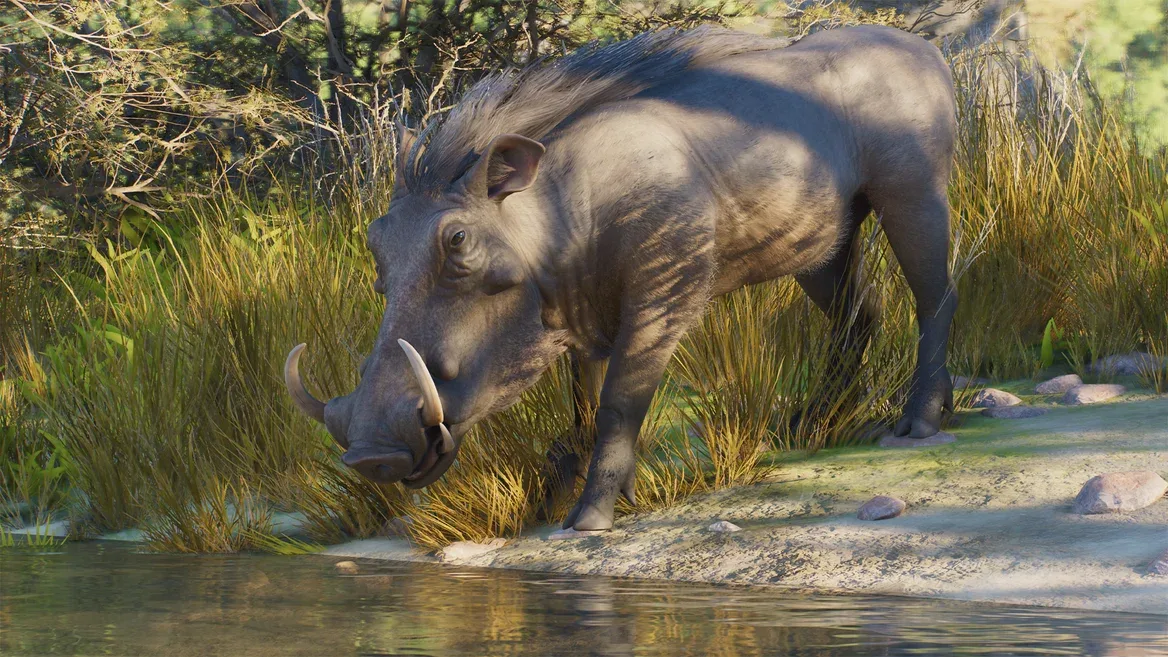 Common warthog beside a muddy pool in Planet Zoo 2