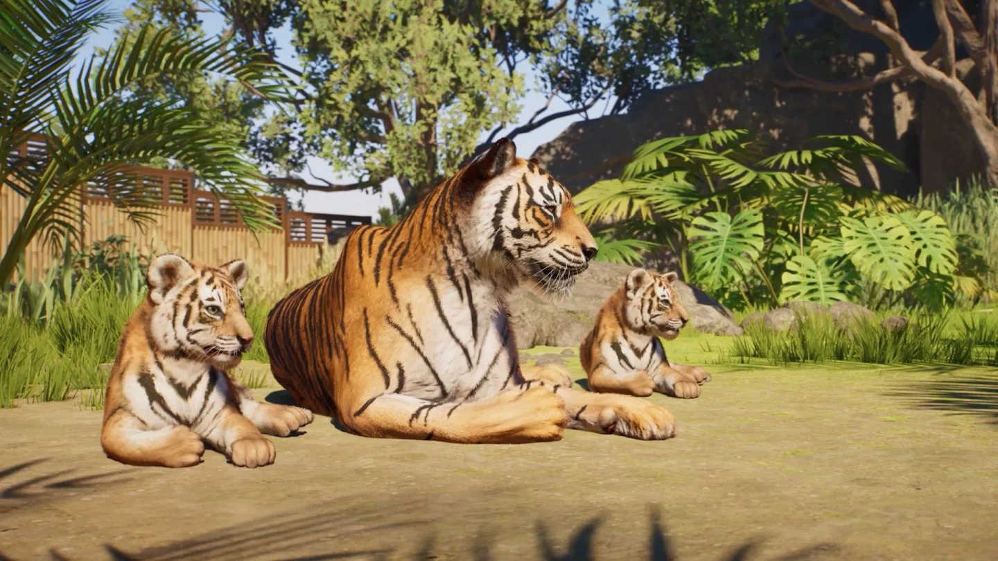 An adult tiger and cubs resting in a vegetated Wildlife Reserve