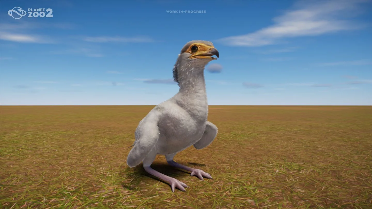 A nestbound secretarybird chick with juvenile feathers