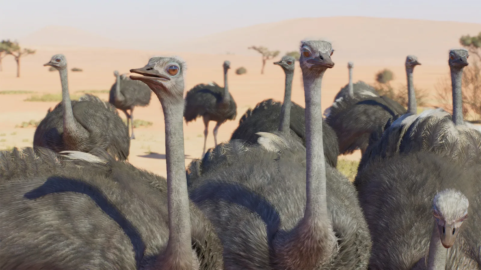 Common ostriches in a Planet Zoo 2 habitat