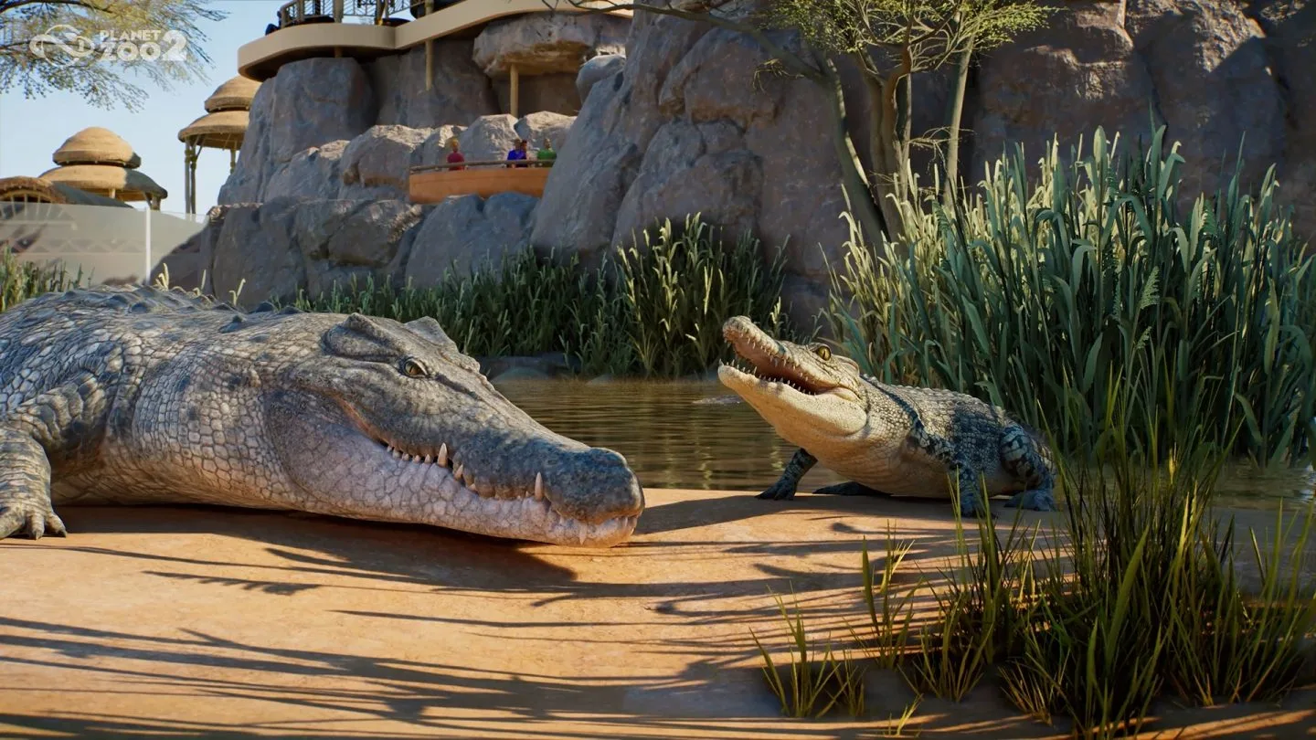 Saltwater crocodiles beside planted land and water in a habitat