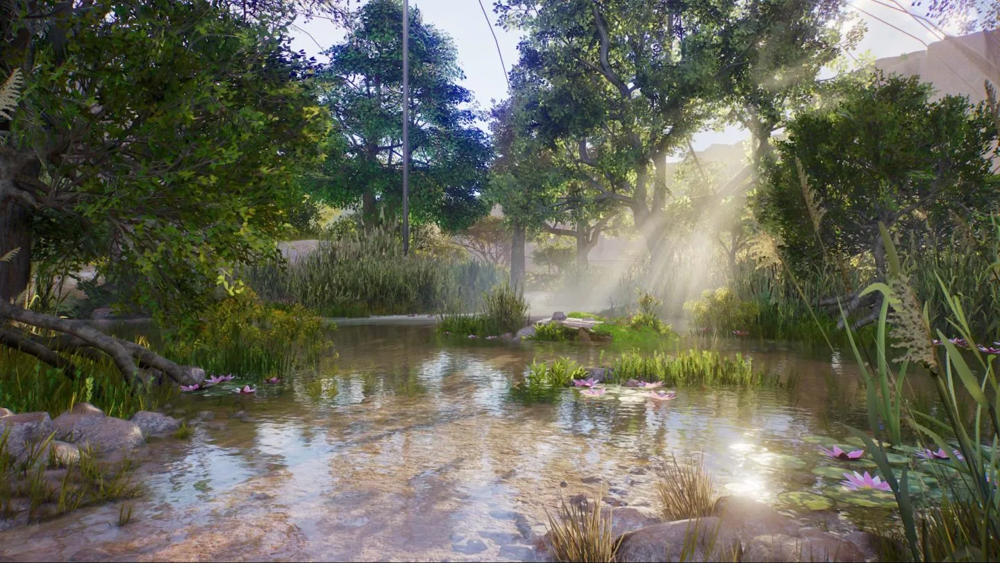 Vegetation and shallow water arranged in a wetland habitat