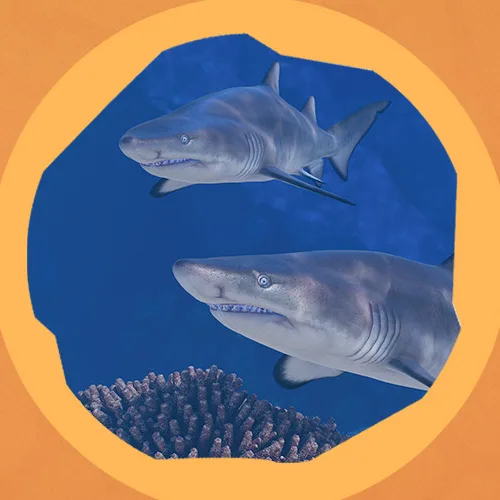 Sand tiger sharks swimming underwater in Planet Zoo 2