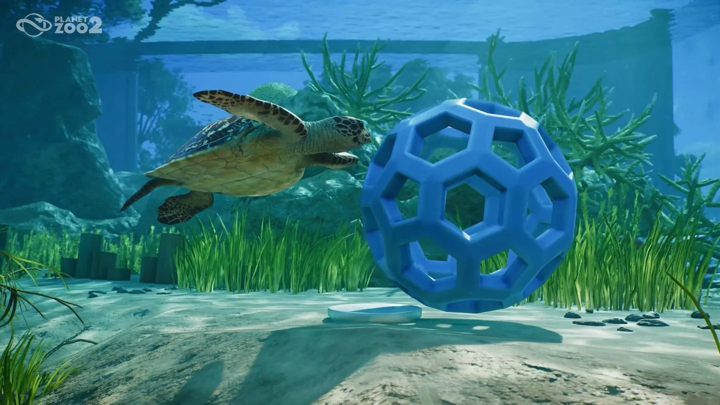 Hawksbill turtle beside aquatic enrichment in Planet Zoo 2