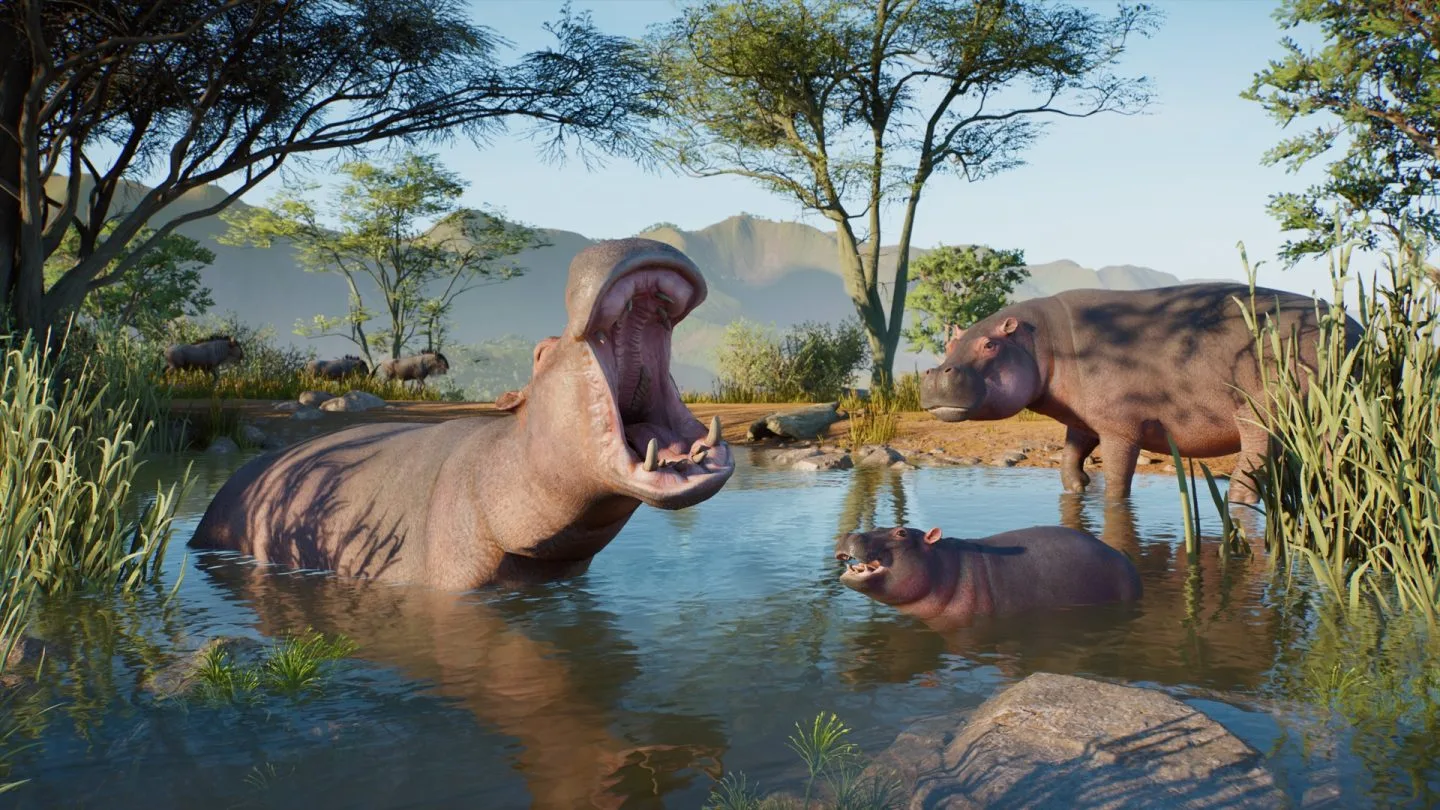 Adult hippopotamuses and a young hippo sharing a water habitat