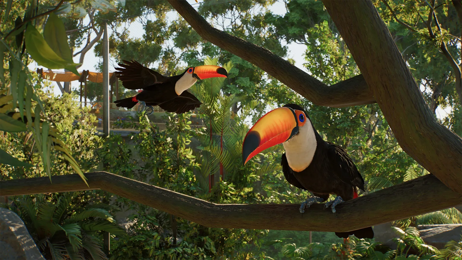 Toco toucans among aviary branches in Planet Zoo 2
