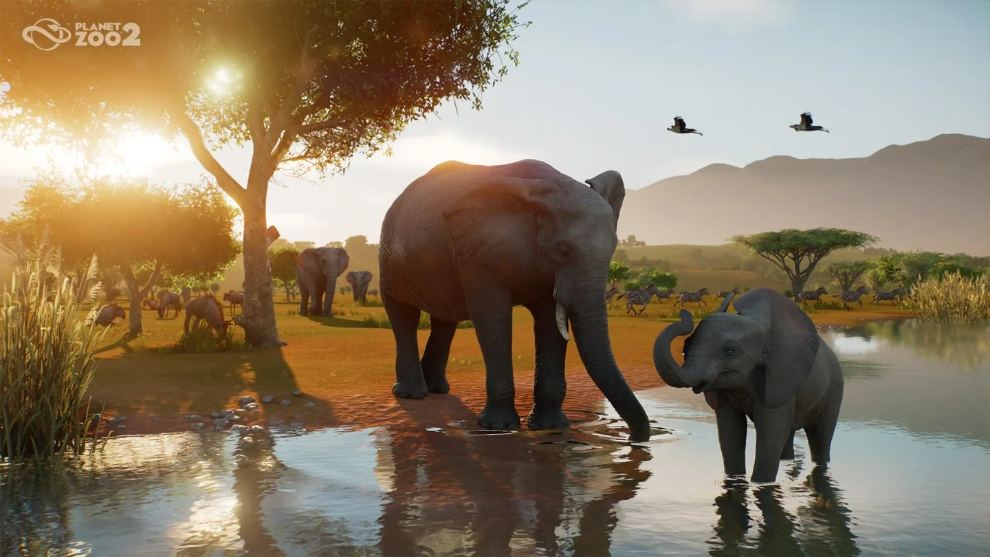 Elephants and a young elephant at a wildlife reserve watering hole
